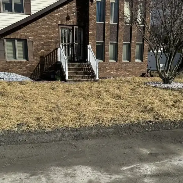 6. Completed backfill and seeded lawn restoration by Affordable Plumbing NEPA